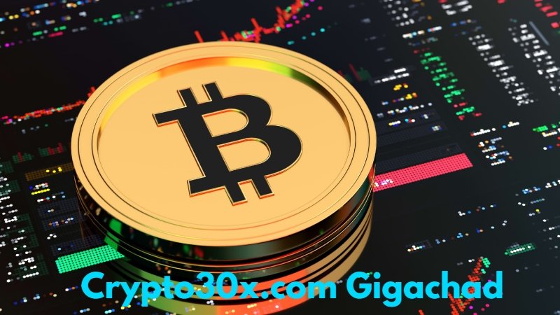 Crypto30x.com Gigachad