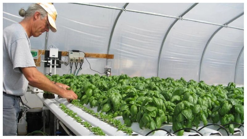 Kenneth MyGreenBucks Net: The Complete Guide to Understanding the Platform